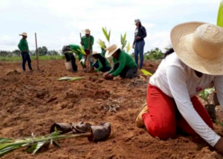 Seleção Pública do Petrobras Socioambiental prorroga inscrições até o final de fevereiro
