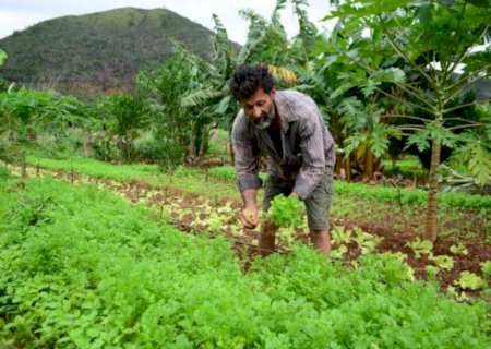 Nova lei prevê estímulo à modernização da agricultura familiar