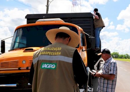 Governo de MS autoriza concurso para fiscalização e defesa sanitária na Iagro