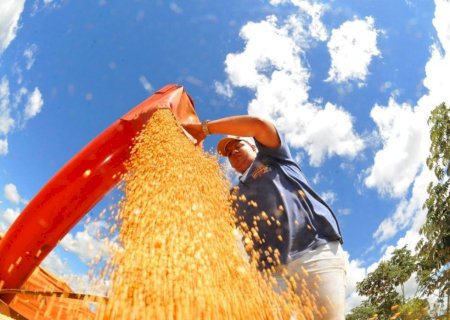 Exportações de MS tiveram aumento de 25% no primeiro bimestre