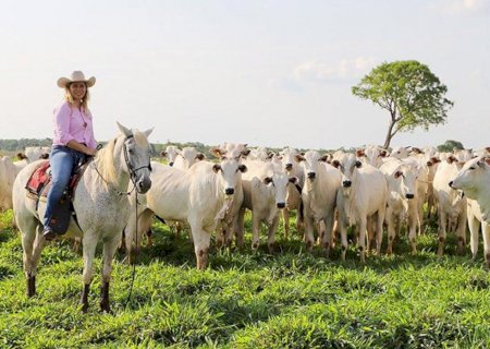 Dourados fecha a sexta-feira com preços firmes no agronegócio