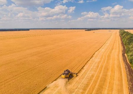 Terra de agricultura ir&aacute; pagar 18% menos de ITR este ano na Capital