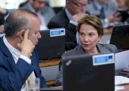Comissão aprova debate sobre projeto que veda agrotóxico em áreas secas