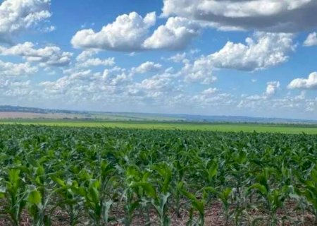 Vereadora quer proibi&ccedil;&atilde;o de agrot&oacute;xico e incentivo fiscal para produ&ccedil;&atilde;o org&acirc;nica