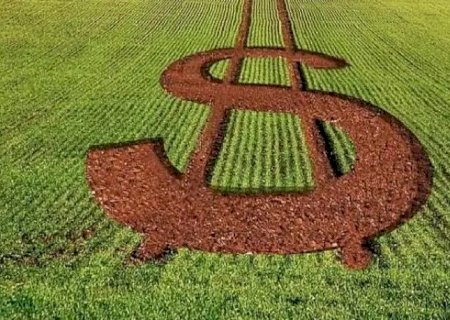Plano Safra: Agricultura familiar e empresarial terão eventos de lançamento diferentes no mesmo dia