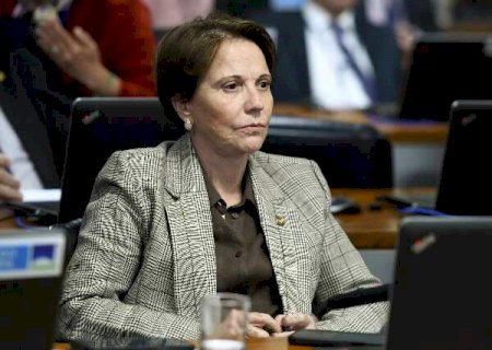 Tereza Cristina representar&aacute; ruralistas em concilia&ccedil;&atilde;o com ind&iacute;genas no STF