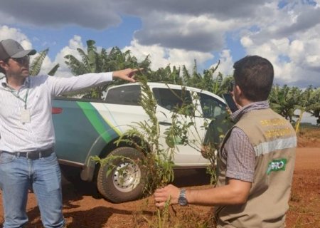 Concurso do Iagro segue com inscrições abertas em MS