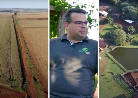 Em Maracaju, Fazenda Santa Sofia é referência na integração lavoura-pecuária