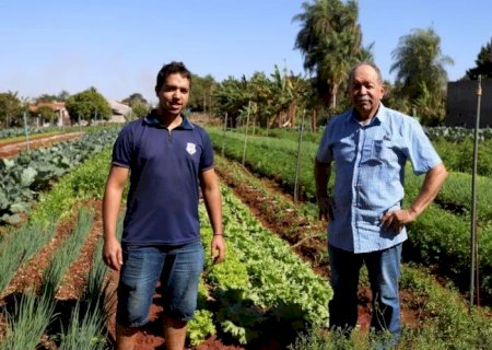 Horta urbana é herança de amor pela produção de hortaliças