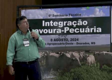 Rebanho de gado de corte diminui em MS, mas produção de carne aumenta