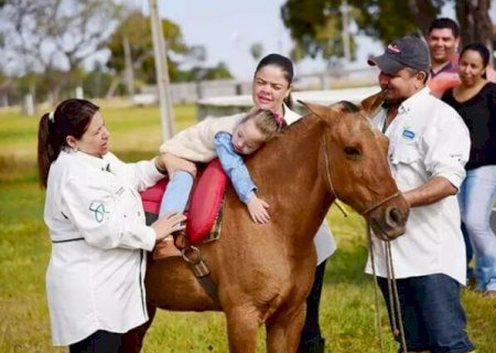 Aprovadas leis para adaptar casas a deficientes e incentivar terapia com animais