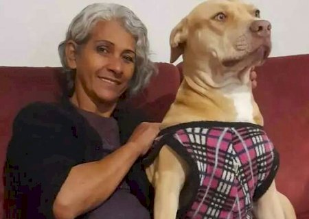 Stella Vasquez, conhecida por cuidar de centenas de animais, morre aos 67 anos