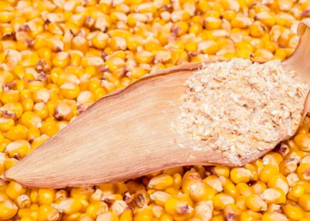 Brasil celebra abertura de mercado na Colômbia para exportação de grãos secos de destilaria