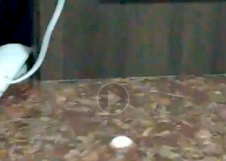 &ldquo;Foi desolador&rdquo;, diz morador que encontrou casa inundada durante temporal