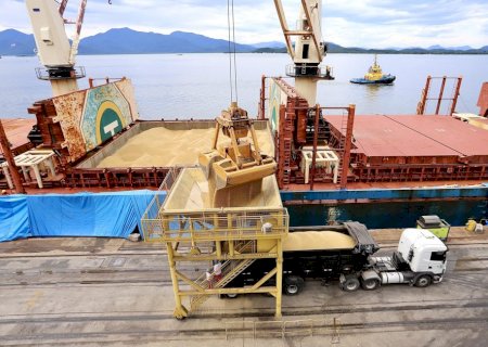 Soja: Brasil deve embarcar 4,343 milhões de toneladas em outubro