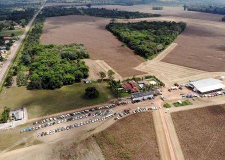 Veja a lista dos 100 municípios mais ricos do agronegócio brasileiro
