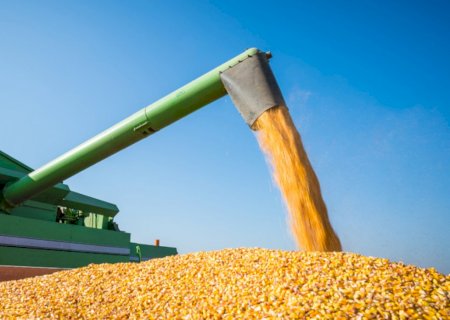Produção de grãos atingirá 379 milhões de toneladas nos próximos dez anos, com crescimento de 27%