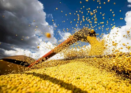 Mato Grosso do Sul prevê crescimento de 37,5% na produção de grãos para a safra 2024/25