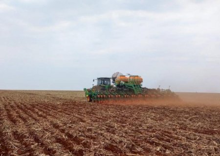 Plantio da soja alcança cerca de 16% da área total em Mato Grosso do Sul
