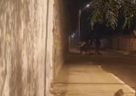 ‘Selvageria’: Assassinato de Renilson espancado até a morte foi premeditado, segundo delegada