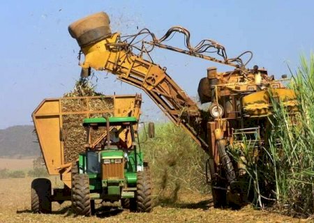 Seca derrubou em 52,8% a moagem da cana-de-a&ccedil;&uacute;car no Centro-Sul
