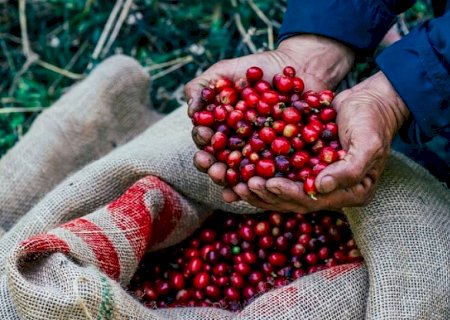 Exportações do agro brasileiro batem recorde e alcançam US$ 14,27 bilhões