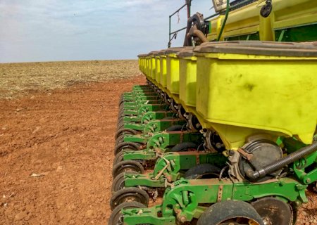 O que esperar do mercado brasileiro da soja? Confira as projeções