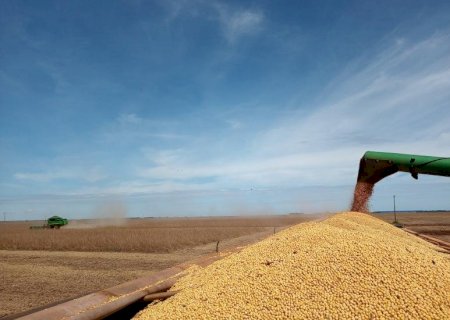 VBP: indicador de volume financeiro gerado pela produção agrícola tem queda de 10,5% no mês de setembro em MS