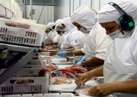 Frigorífico está com mais de 200 vagas para operador de produção abertas em Dourados
