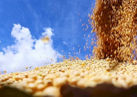 Produção recorde de soja: entenda o que está por trás da queda nos preços