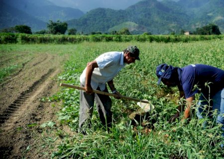 Projeto amplia área para enquadramento de agricultor no Pronaf