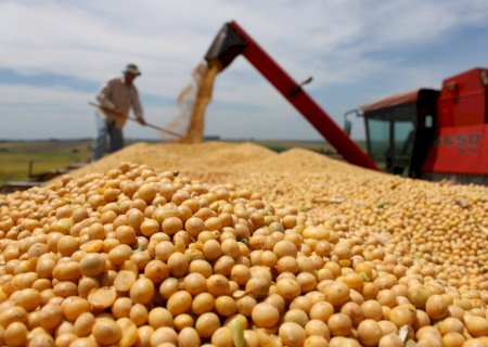 Soja: Associação estima produção recorde no Brasil em 2025