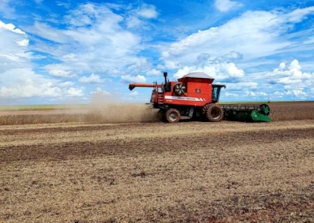 Em menos de 40 anos, área destinada à soja cresce 9 vezes