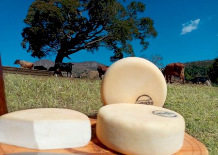 Queijo Minas Artesanal é reconhecido como patrimônio imaterial pela Unesco