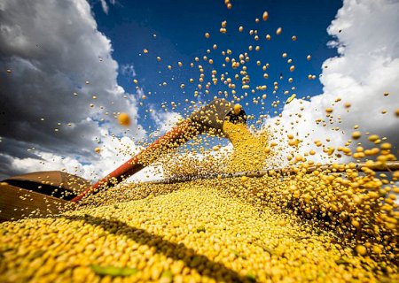 PIB do agro pode crescer 5% em 2025 diz CNA, que alerta para desafios