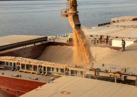 Exportações de soja e milho de Mato Grosso do Sul caem em novembro