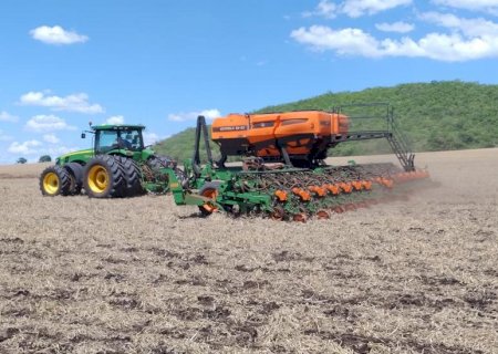 Plantio da safra de soja 2024/2025 se aproxima da reta final em Mato Grosso do Sul