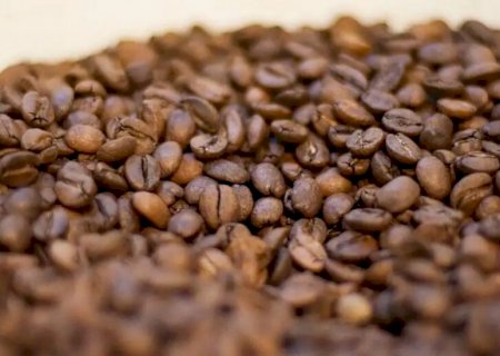 Em um ano, preço do café sobe 52% em MS