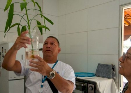 Ministério da Saúde convoca a população para o Dia D de mobilização contra a dengue
