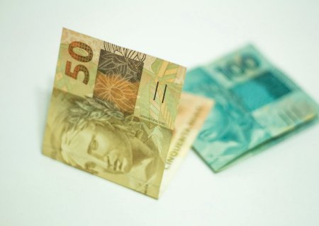 Preços da soja estáveis no Brasil; confira o fechamento do mercado do grão