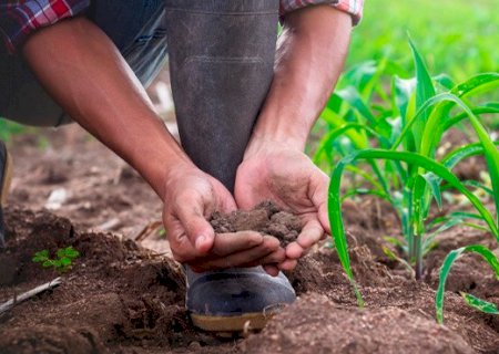 Sustentabilidade e inovações no agro foram destaques do Mapa