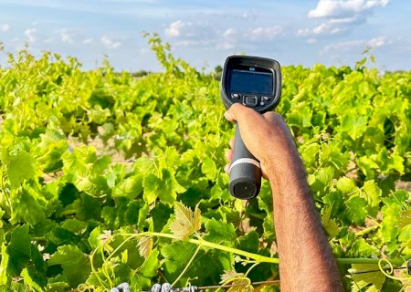 Temperaturas ficam acima da média histórica e prejudicam agro brasileiro