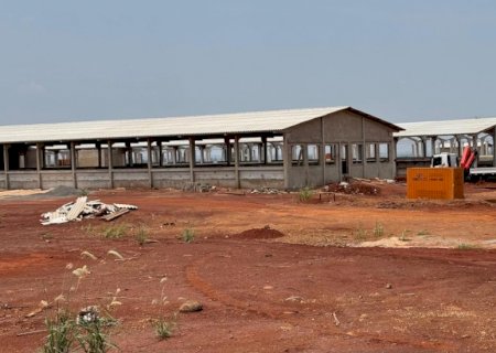 Produtor começa alojar os primeiros 6 mil leitões do projeto de suinocultura da Alfa em Sidrolândia