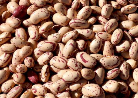 Brasil recebe autorização para exportar feijão para a Costa Rica