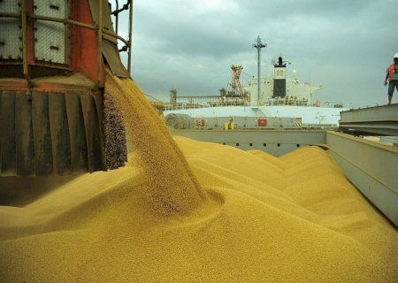 Anec: Brasil exportou 97,299 milhões de t de soja em grão em 2024