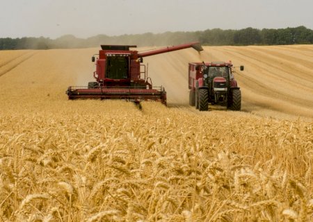 Crédito rural recua no segundo semestre de 2024, mas financiamentos privados crescem