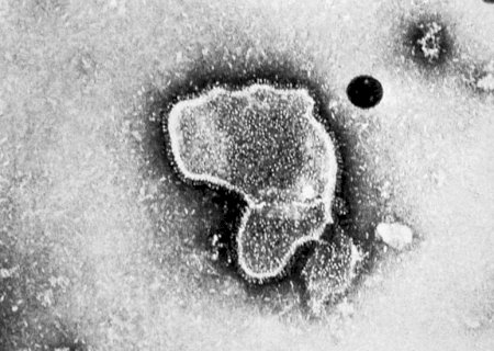 Vírus respiratório que pode causar pneumonia acende alerta na China