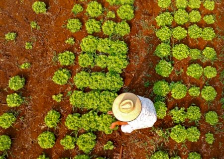 Governo divulga resultado do Programa de Residência Agrária que integra recém-formados à agricultura familiar