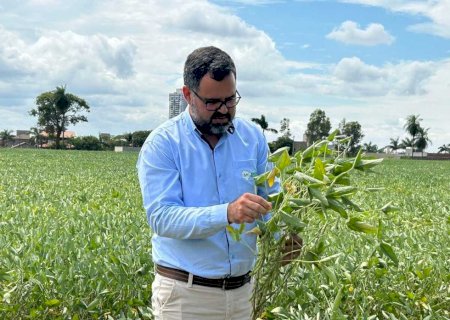 Estiagem piora e já prejudica 1,73 milhão de hectares de soja em MS