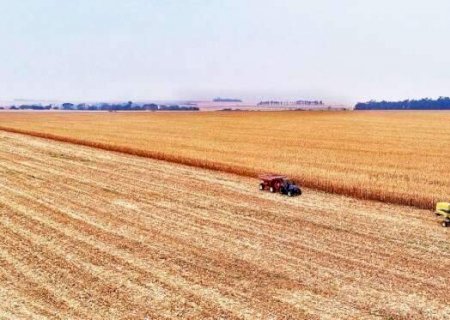 FCO Rural: Governo limita a 10 milh&otilde;es empr&eacute;stimos para compra de m&aacute;quinas